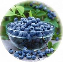 Blueberry-  100gr